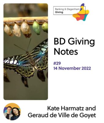 BD Giving Notes #29 – ‘The trouble with funding (Part 2)’